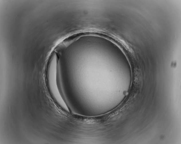 X0000098201264200805081103