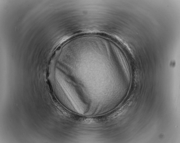 X0000098201265200805081103