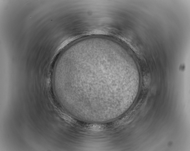 X0000098201266200805081103