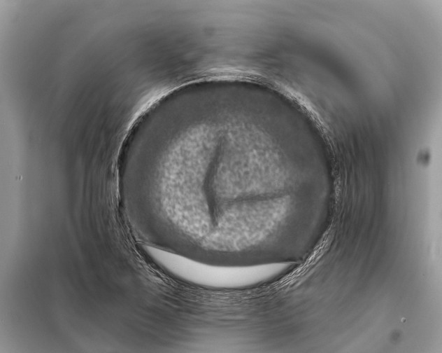 X0000098201267200805081103