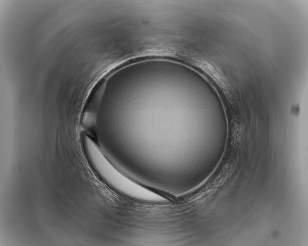 X0000098201268200805081103