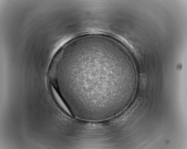 X0000098201269200805081103