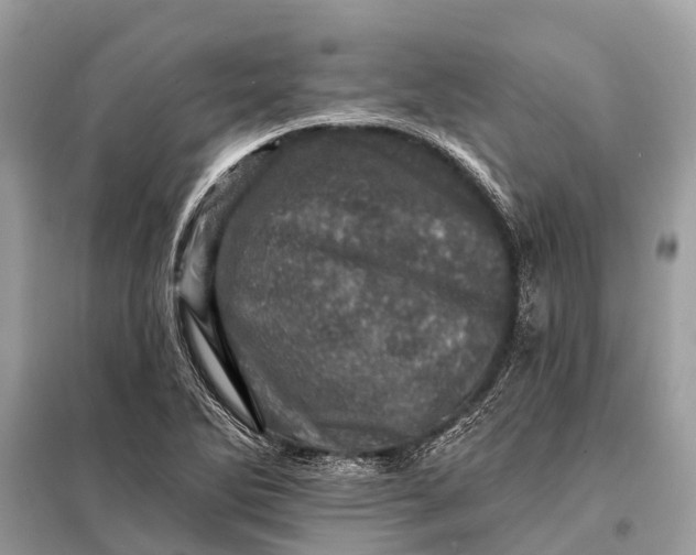 X0000098201270200805081103