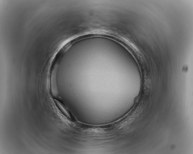 X0000098201272200805081103