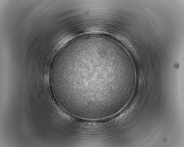 X0000098201273200805081103