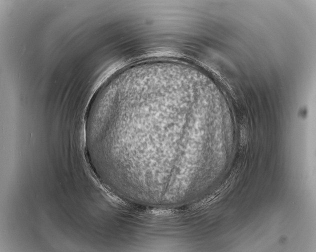 X0000098201274200805081103