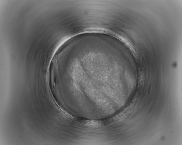 X0000098201275200805081103