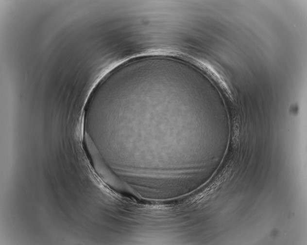 X0000098201276200805081103