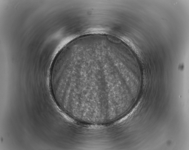 X0000098201277200805081103