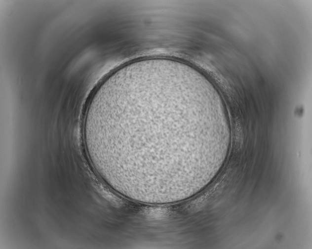 X0000098201278200805081103