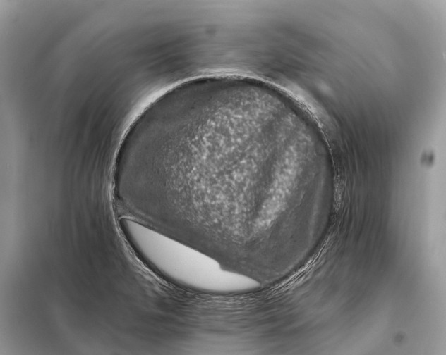 X0000098201279200805081103