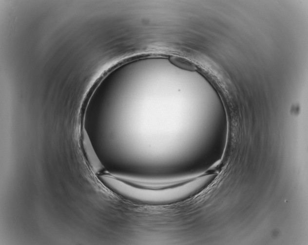 X0000098201280200805081103