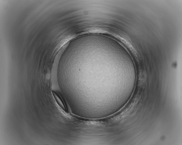 X0000098201281200805081103