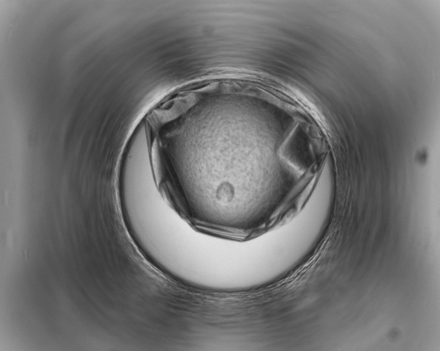 X0000098201283200805081103