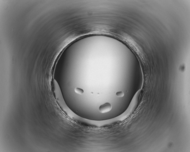 X0000098201284200805081103