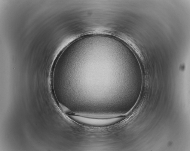 X0000098201285200805081103