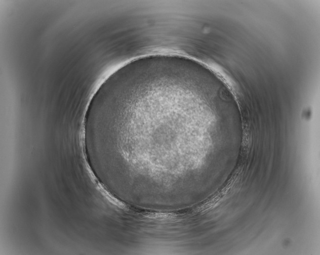 X0000098201287200805081102