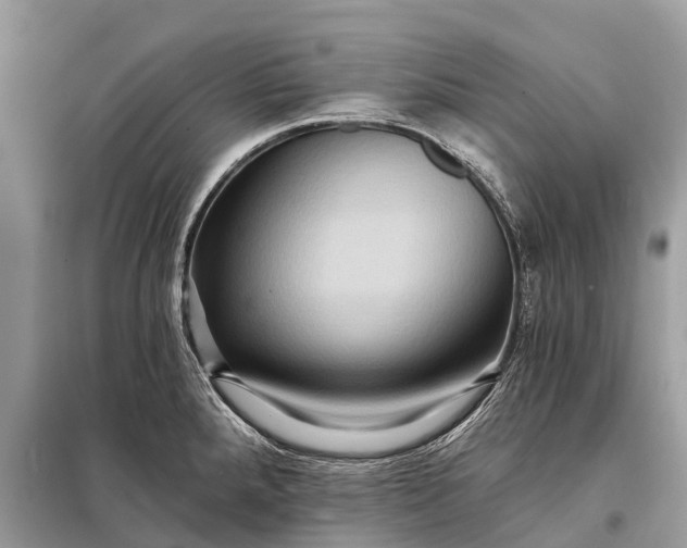 X0000098201288200805081102