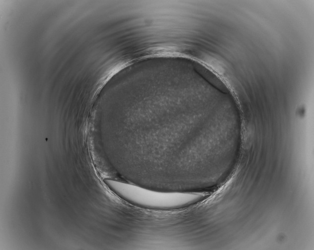 X0000098201289200805081102