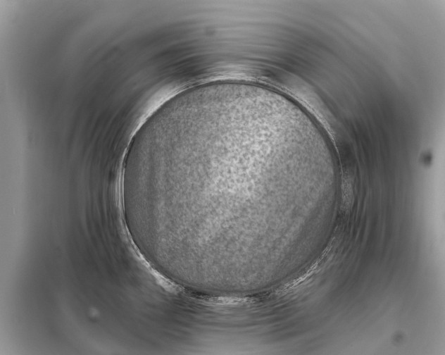 X0000098201290200805081102