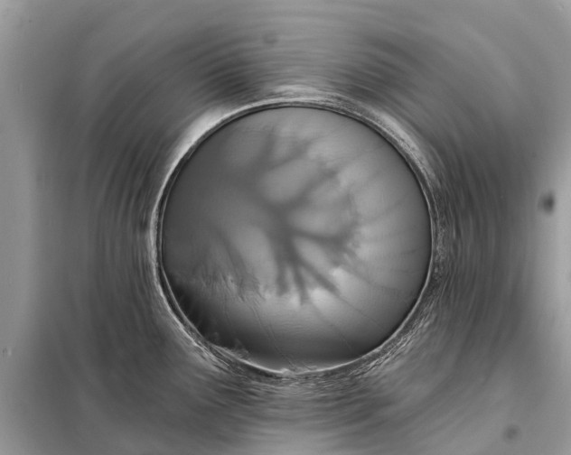 X0000098201291200805081102