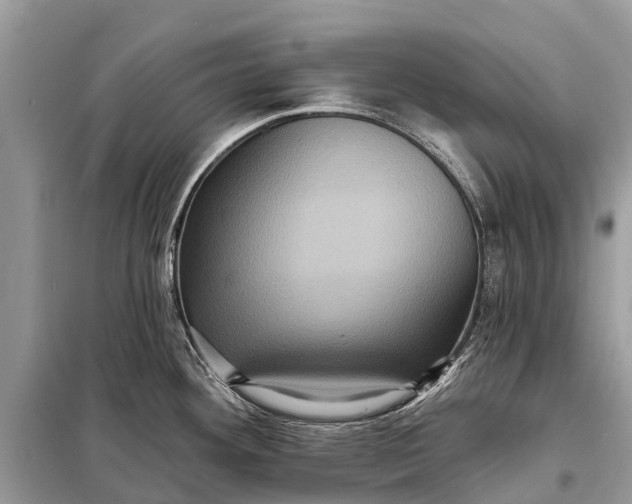 X0000098201292200805081102