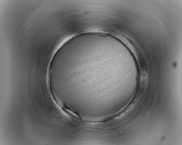 X0000098201293200805081102
