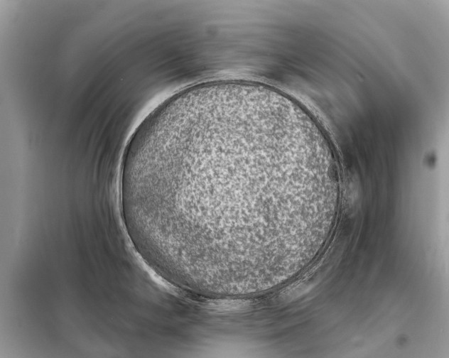 X0000098201294200805081102