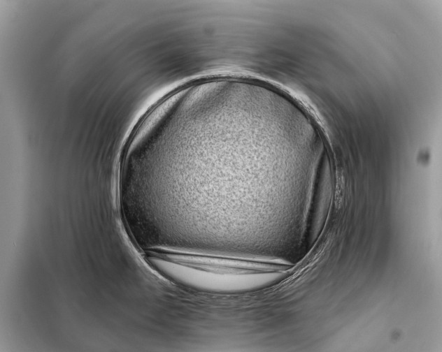 X0000098201295200805081102