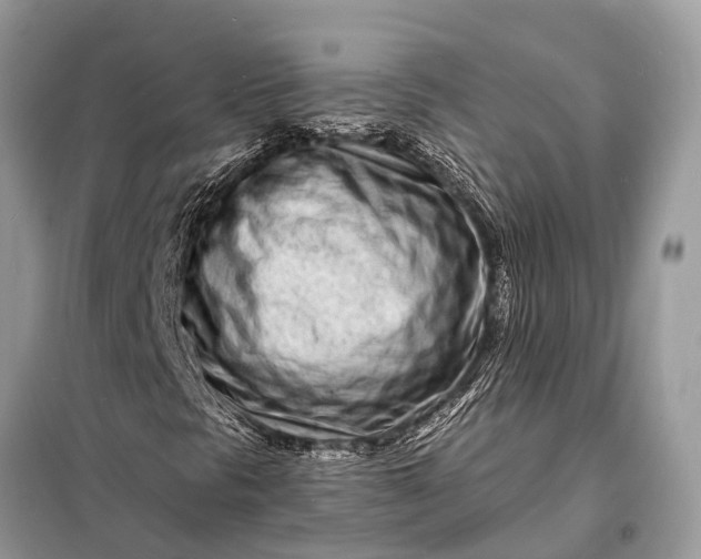 X0000098201297200805081102