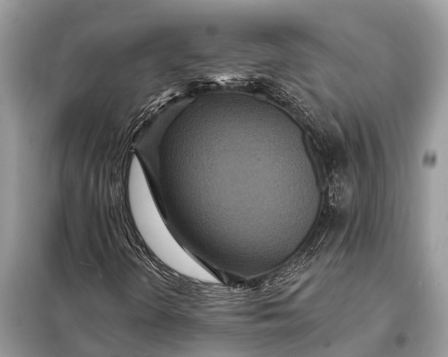 X0000098201298200805081102