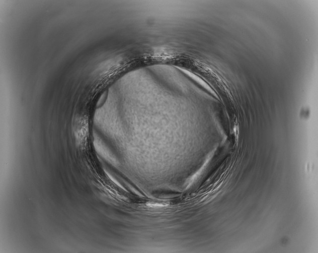 X0000098201299200805081102