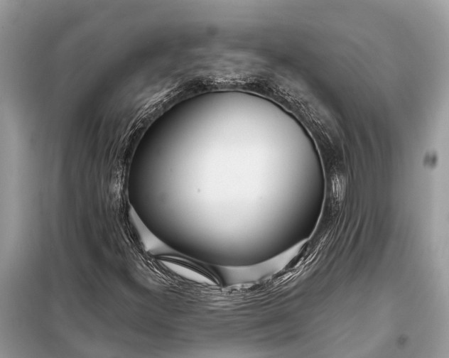 X0000098201300200805081102