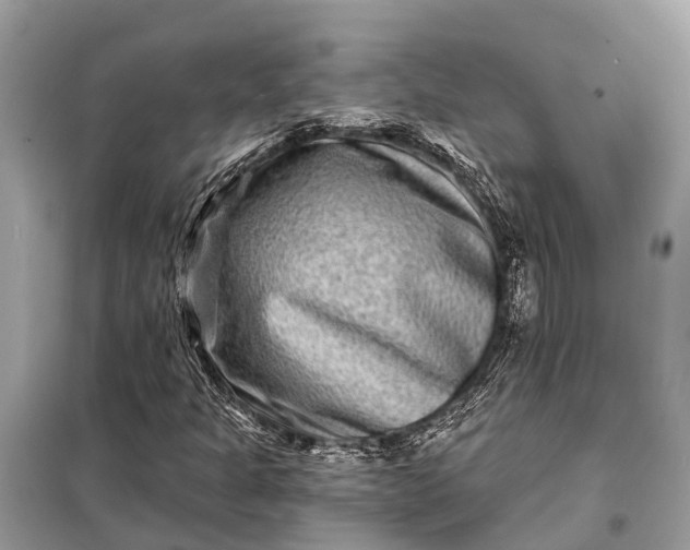 X0000098201301200805081102