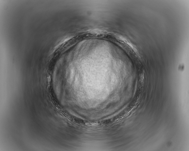 X0000098201302200805081102