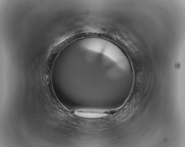 X0000098201303200805081102