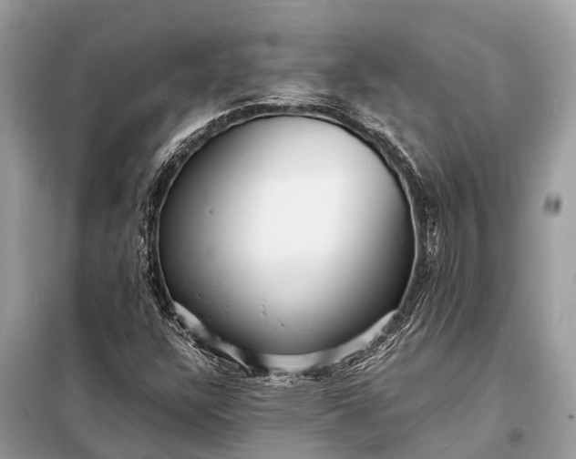 X0000098201304200805081102