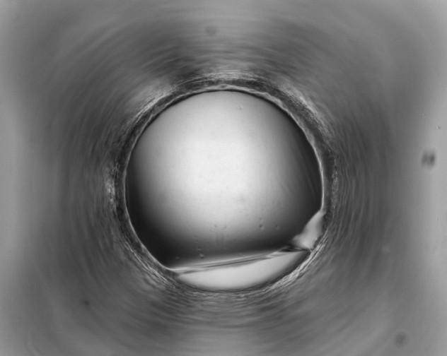 X0000098201305200805081102