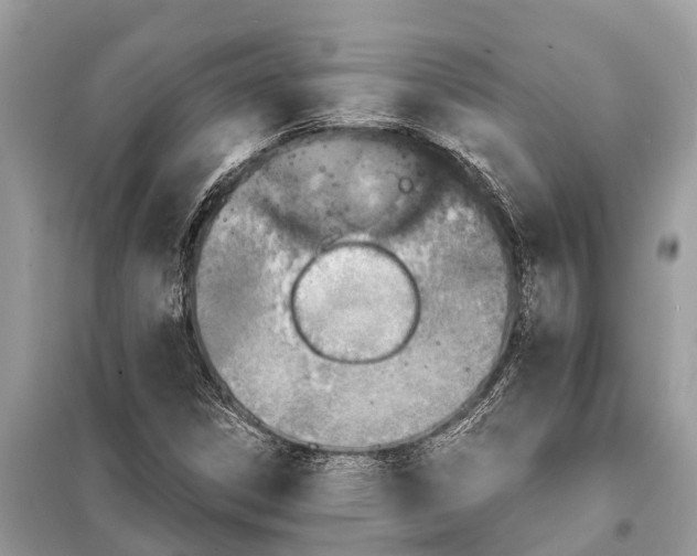 X0000098201306200805081102