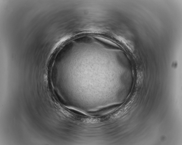 X0000098201307200805081102