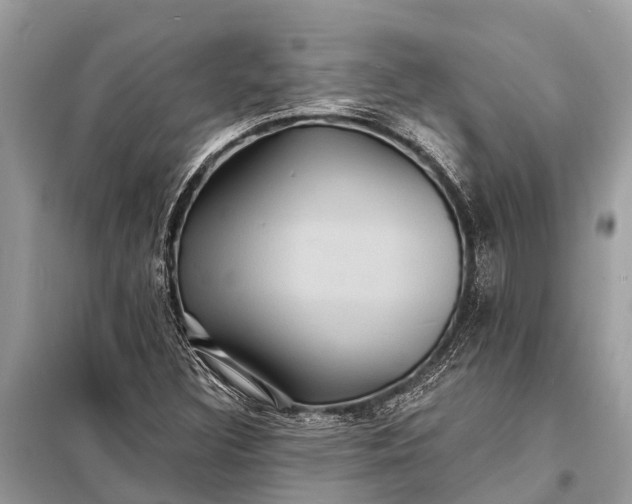 X0000098201308200805081102