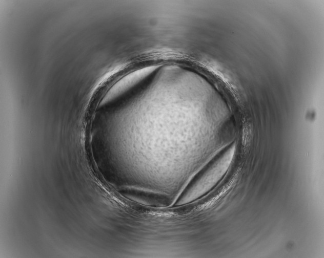 X0000098201309200805081102