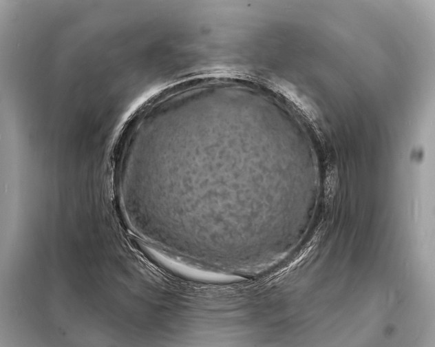 X0000098201310200805081102