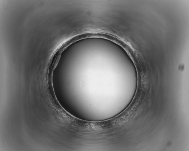 X0000098201311200805081102