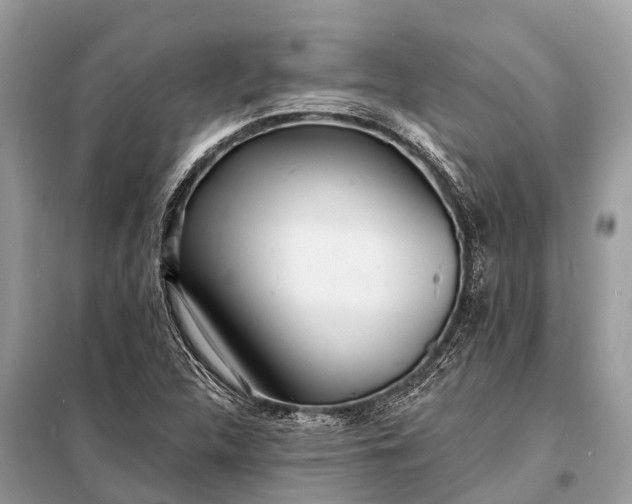 X0000098201312200805081102