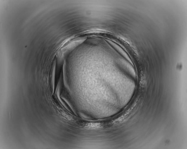 X0000098201313200805081102