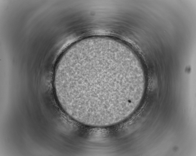 X0000098201314200805081102