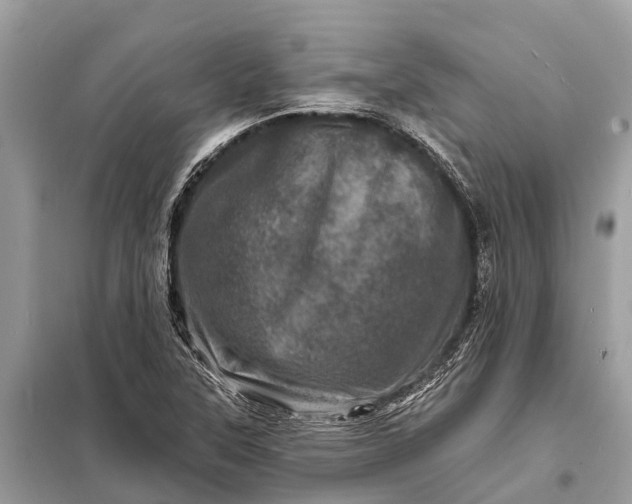 X0000098201315200805081102