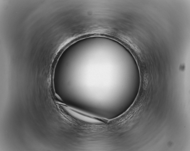 X0000098201316200805081102
