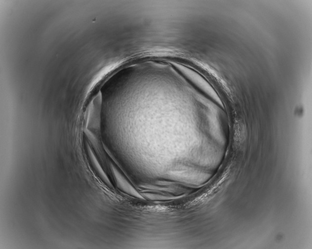 X0000098201317200805081102